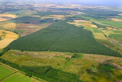 Heathland restoration at Grimston Warren