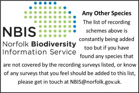 NBIS card5